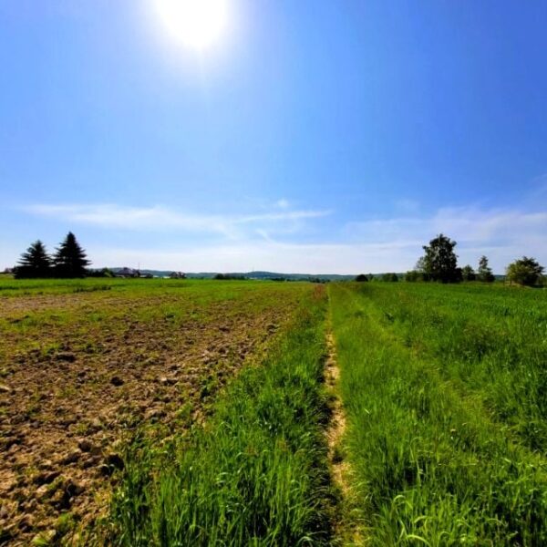 Działka budowlana 700 m² | Rzeszów, Słocina