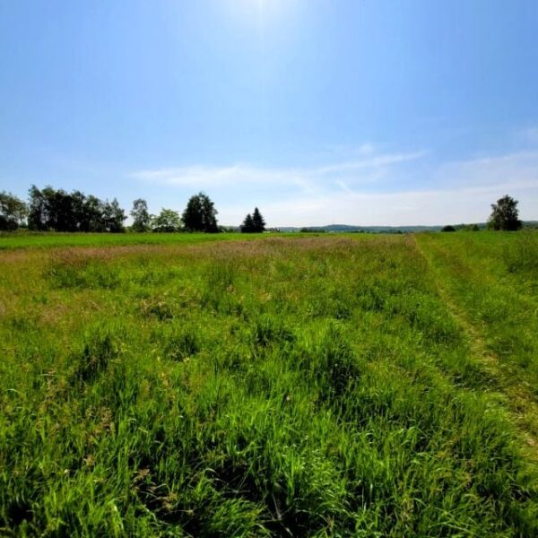 Działka budowlana 700 m² | Rzeszów, Słocina